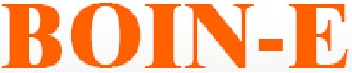 BOIN-E LLC